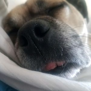 Meet your Posher, Rebecca